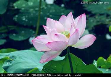 心经讲记——《法性基础》之二十七