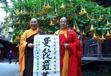 每天念普门品感应的真实事例