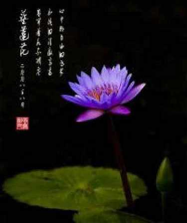 寺庙音乐金刚经
